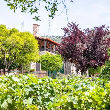 Fonte Dos Pepes By Lovelystay Semesterbostad